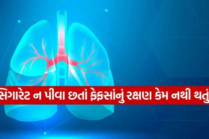 lungs 2609.jpg.webp