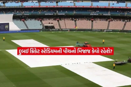 pitch.jpg.webp