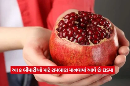 pomegranate2.jpg.webp