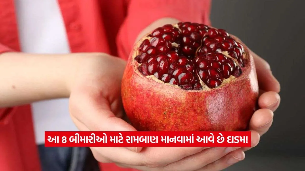 pomegranate2.jpg.webp
