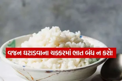 rice 1009.jpg.webp