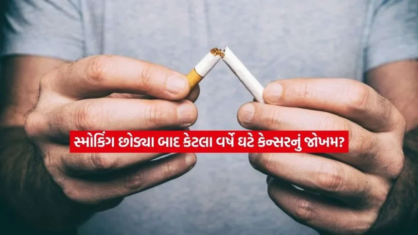 ધૂમ્રપાન છોડ્યા પછી કેટલા વર્ષોમાં ફેફસાના કેન્સરનું જોખમ ઘટે છે? જાણો મહત્વની માહિતી 1 smoking.jpg.webp