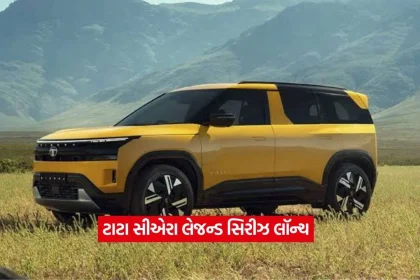 tata cae2.jpg.webp