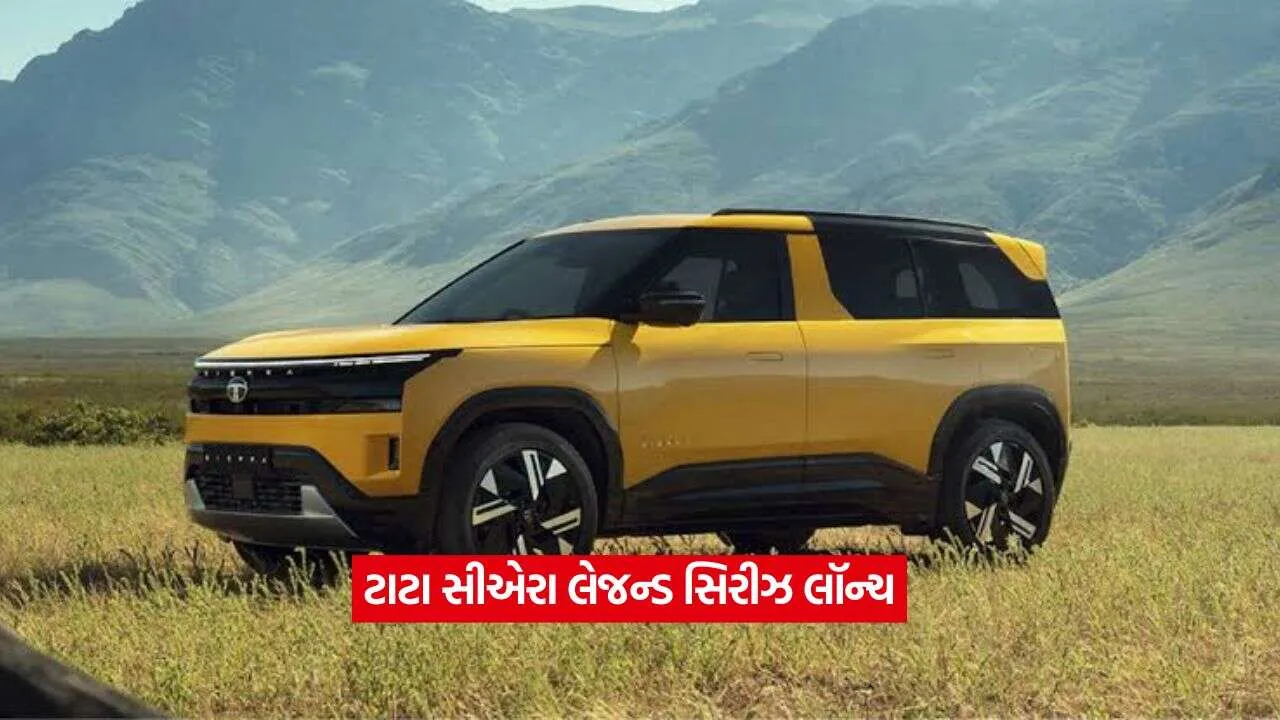 tata cae2.jpg.webp