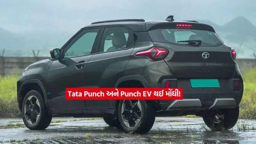 tata pauch ev2.jpg.webp