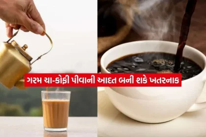 tea.jpg.webp