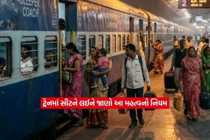 train3.jpg.webp