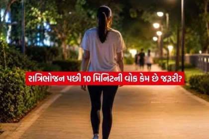 walk.jpg.webp
