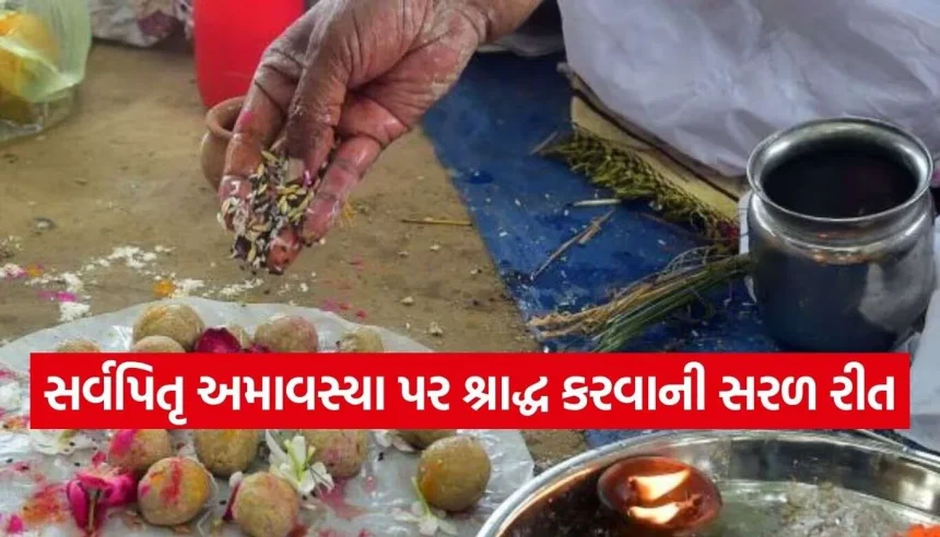 ઘરે કેવી રીતે કરવું સર્વપિતૃ અમાવસ્યાનું શ્રાદ્ધ? જાણો પૂજા સામગ્રીથી લઈને વિધિ સુધીની પૂરી માહિતી 1 1791476988 Sarva Pitru Amavasya.jpg.webp