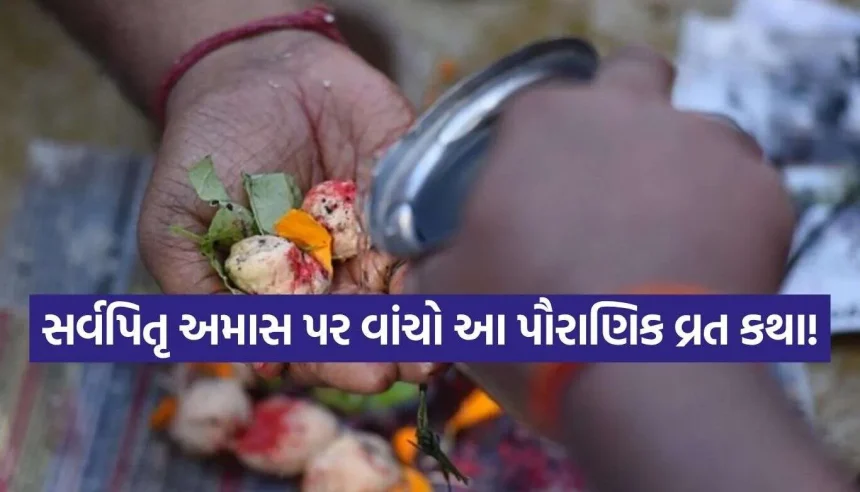 સર્વપિતૃ અમાસ પર શ્રાદ્ધ-તર્પણ સાથે આ કથાના પાઠથી દૂર થશે તમામ કષ્ટો 1 1791707862 Sarva Pitru Amavasya.jpg.webp