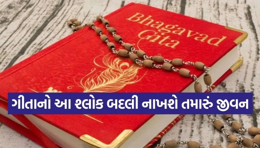 દરેક પડકાર સામે જીત મેળવવી છે? સવારે ઊઠીને જાતે પૂછો આ 3 ખાસ સવાલો! 1 1793064504 Bhagavad Gita 2.jpg.webp