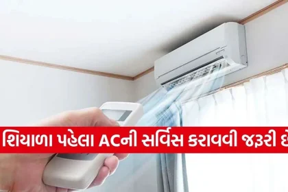 AC Care Tips.jpg.webp