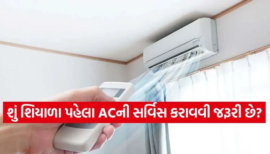 AC Care Tips.jpg.webp