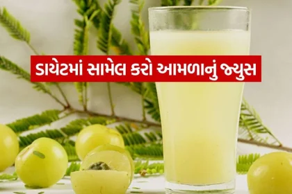 Amla Juice 2810.jpg.webp