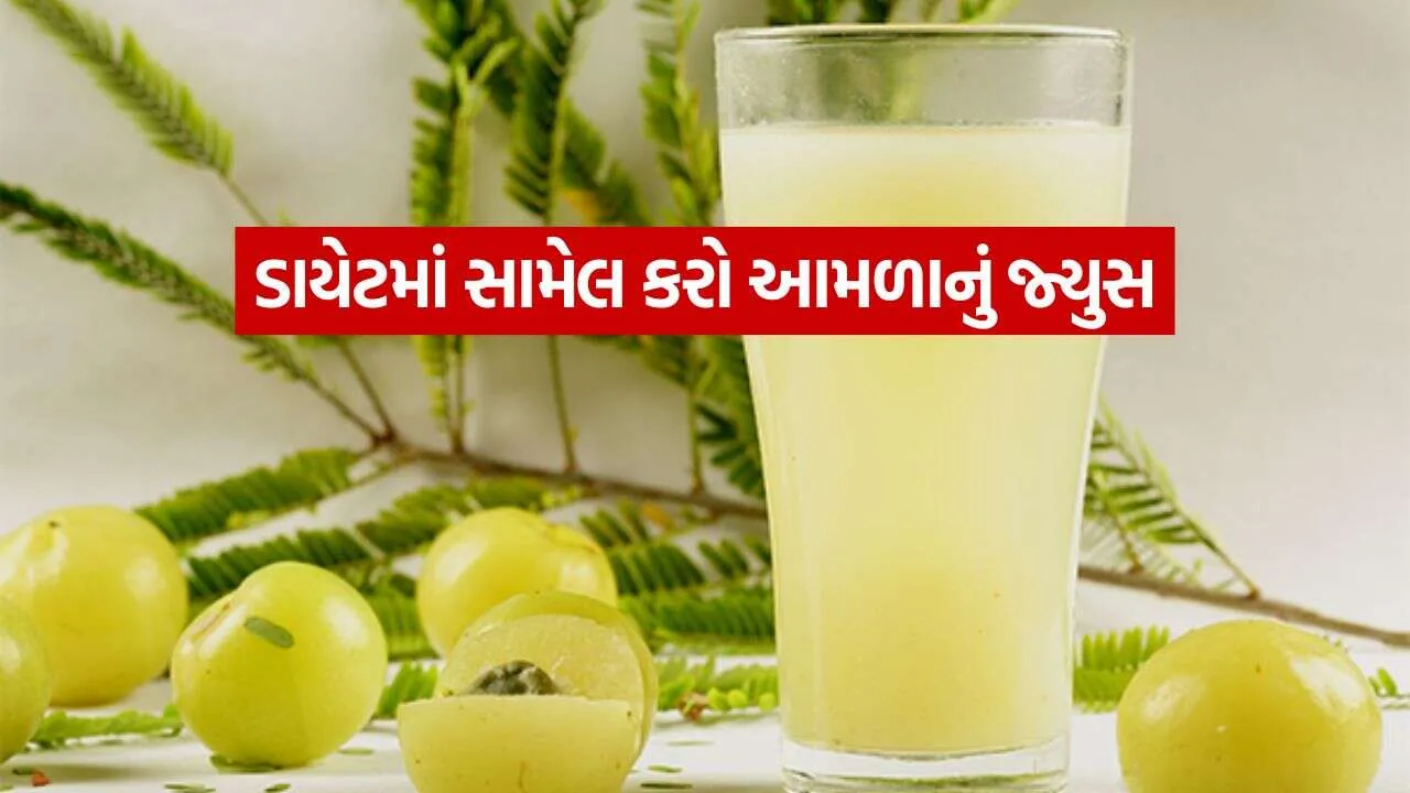 Amla Juice 2810.jpg.webp