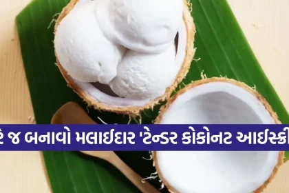 Copy of Satya web temp 10.jpg.webp