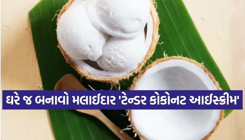 આ ઉનાળામાં પેટને આપશે અંદરથી ઠંડક, ઘરે જ ટ્રાય કરો મોંમાં ઓગળી જાય તેવો ટેન્ડર કોકોનટ આઈસ્ક્રીમ 1 Copy of Satya web temp 10.jpg.webp
