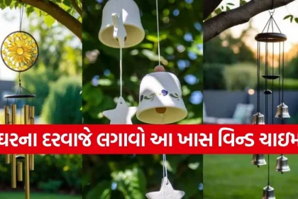 Copy of Satya web temp 46.jpg.webp