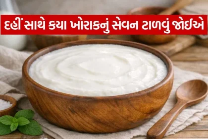 Curd 2310.jpg.webp