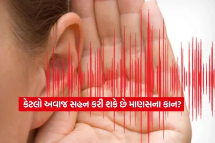Ear Capacity.jpg.webp