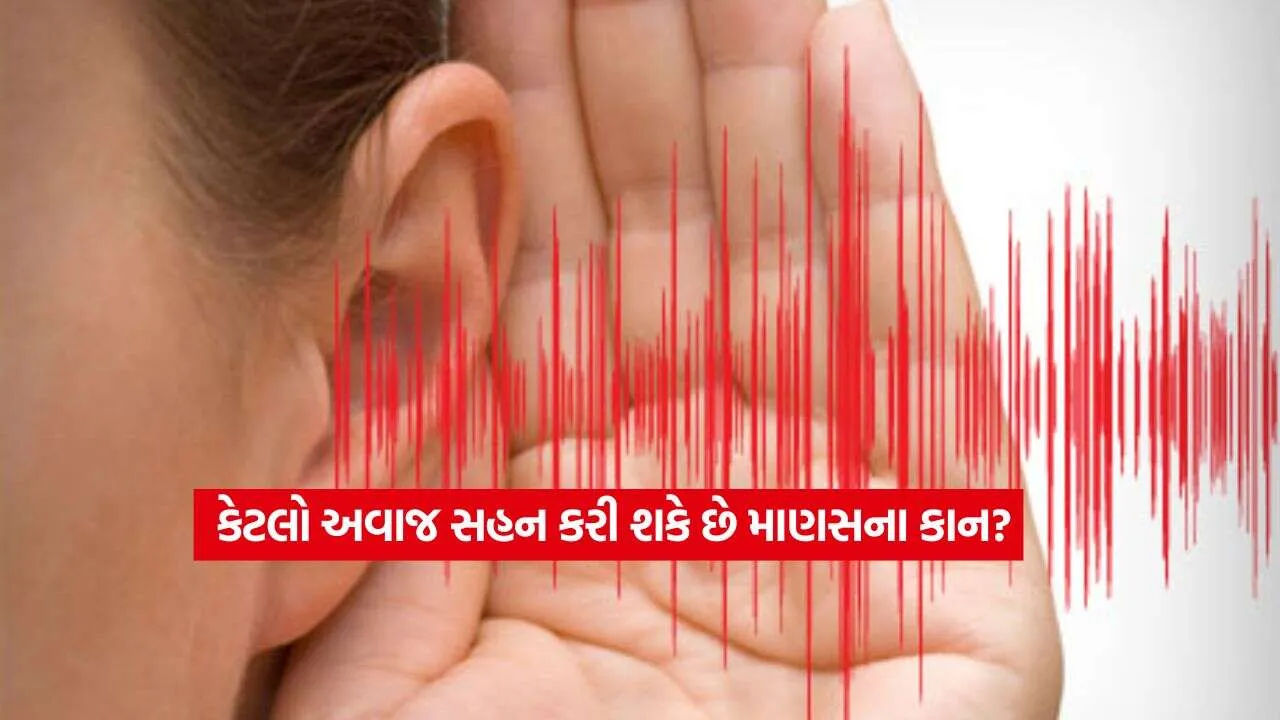 Ear Capacity.jpg.webp