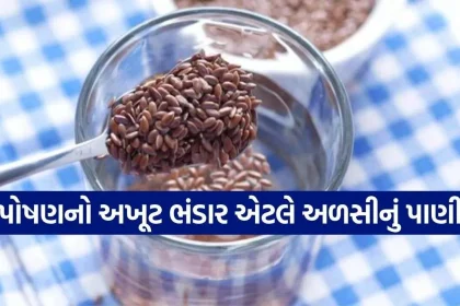 Flaxseed Water 2510.jpg.webp