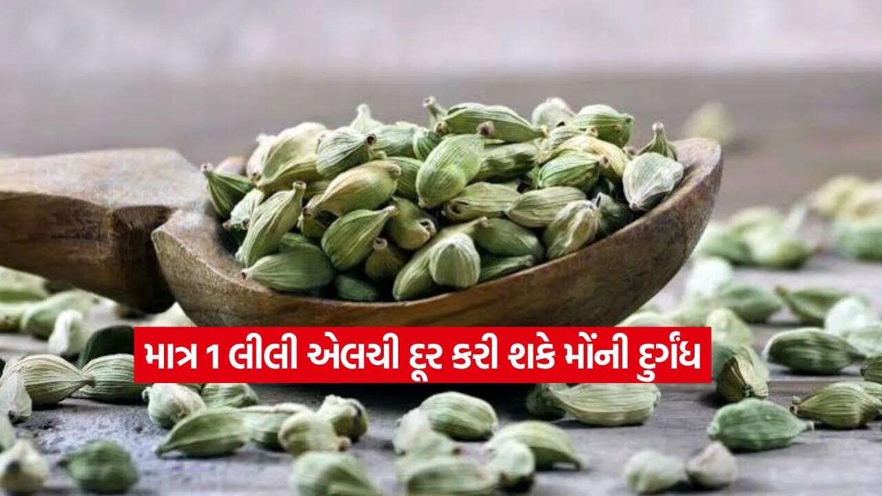 Green Cardamom Benefits2.jpg.webp