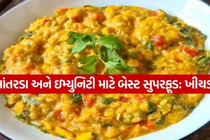 Khichdi 0610.jpg.webp