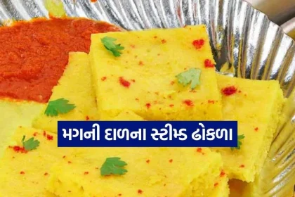 Moong Dal Dhokla 2610.jpg.webp