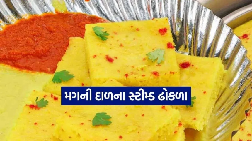 ઘરે જ બનાવો પ્રોટીનથી ભરપૂર મગની દાળના સોફ્ટ ઢોકળા અને ચટપટી લસણની ચટણી 1 Moong Dal Dhokla 2610.jpg.webp