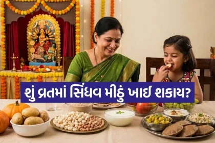 Navratri Vrat.jpg.webp