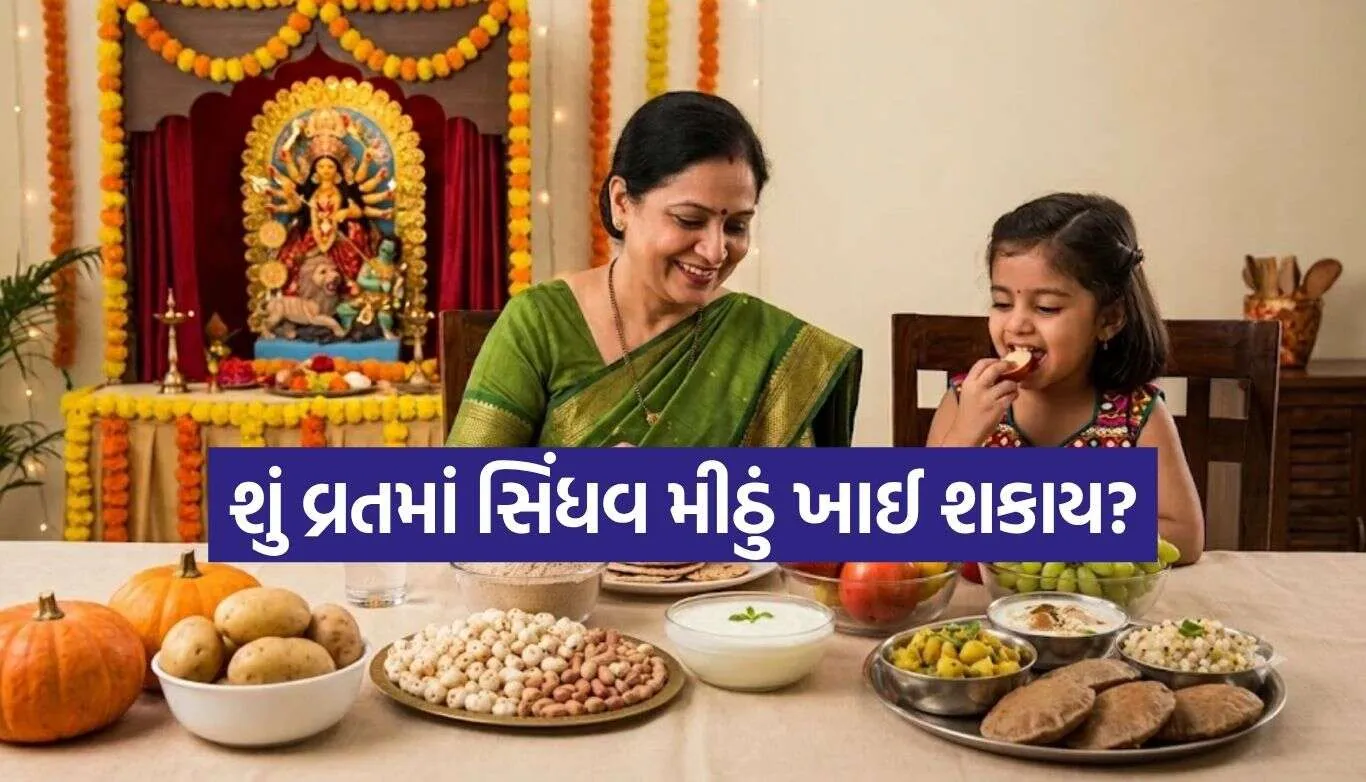 Navratri Vrat.jpg.webp