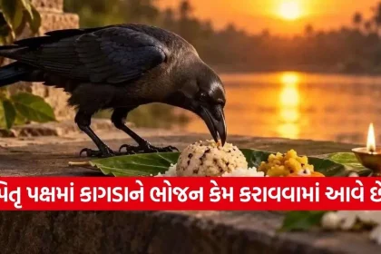 Pitru Paksha 3.jpg.webp