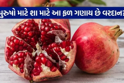 Pomegranate 0310.jpg.webp