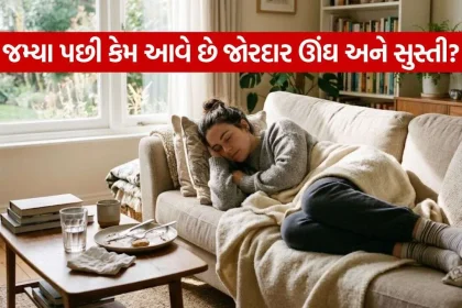 Post Meal Fatigue 2610.jpg.webp