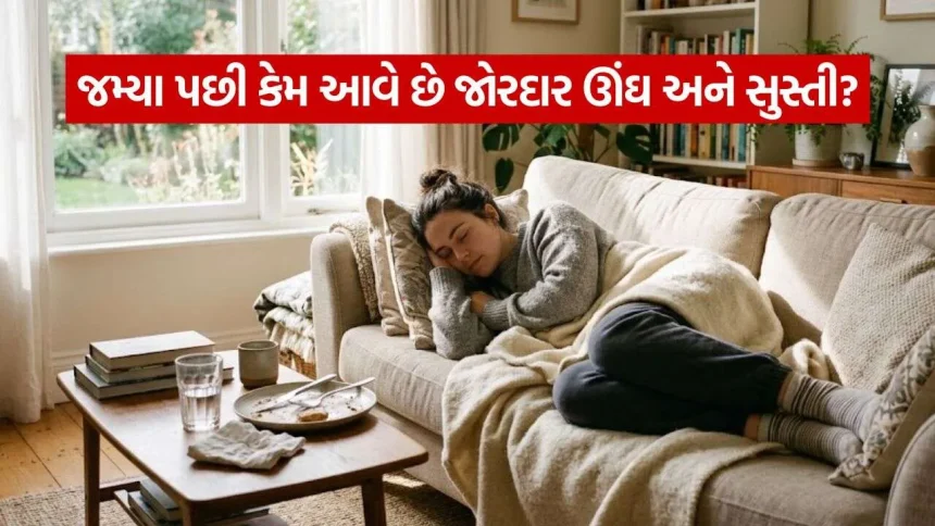 ખોરાક ખાધા પછી આપણને સુસ્તી કેમ લાગે છે? 1 Post Meal Fatigue 2610.jpg.webp