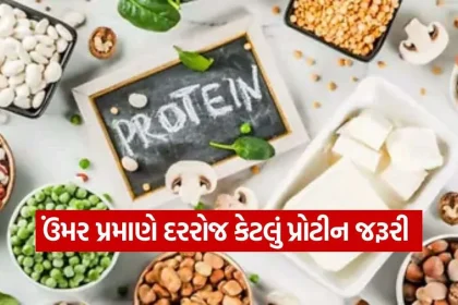 Protein 0610.jpg.webp