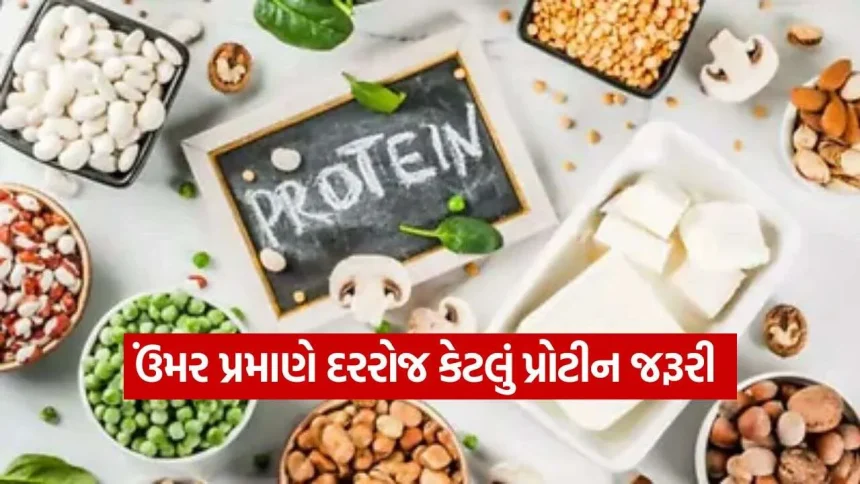 માત્ર જીમ જનારા માટે જ નહીં, દરેક ઉંમરે પ્રોટીન કેમ અનિવાર્ય છે? 1 Protein 0610.jpg.webp