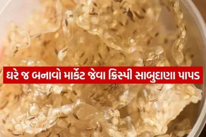 Sabudana papad 1610.jpg.webp