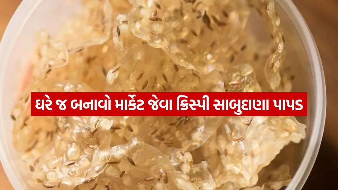 Sabudana papad 1610.jpg.webp