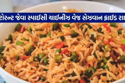 Schezwan Fried Rice 2210.jpg.webp