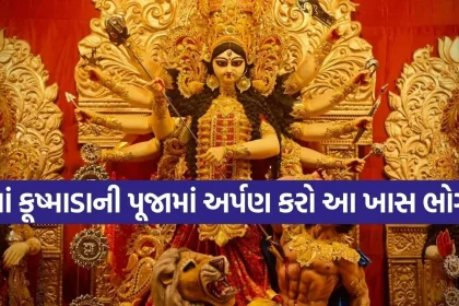 Shardiya Navratri.jpg.webp