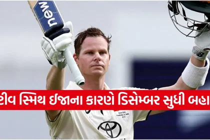 Steve Smith.png.webp