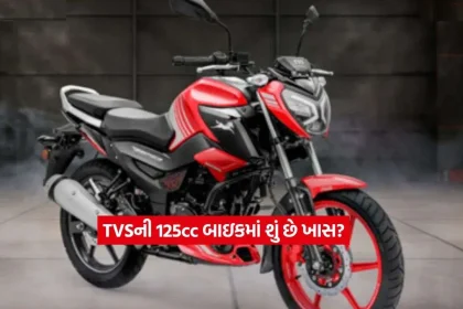 TVS Raider 1252.jpg.webp
