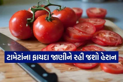Tomato 2410.jpg.webp