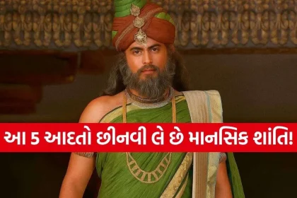 Vidur Niti.jpg.webp