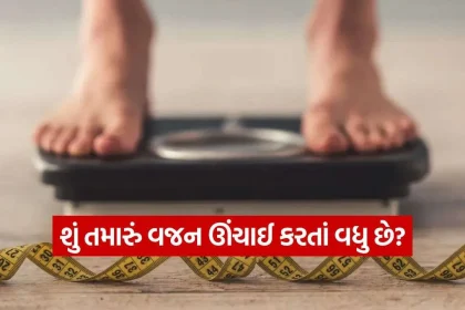 Weight 0810.jpg.webp