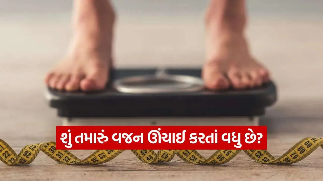 Weight 0810.jpg.webp