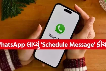 WhatsApp 2.jpg.webp
