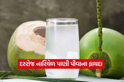 coconut water12.jpg.webp
